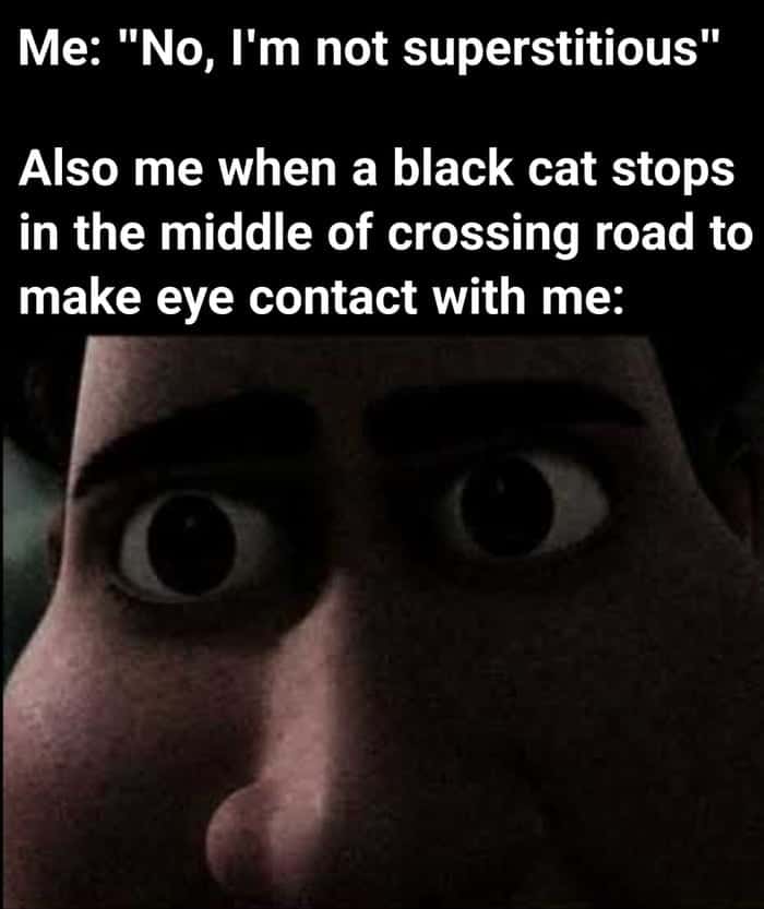 Tighten staring meme panics when black cat makes eye contact Tighten staring meme panics when black cat makes eye contact