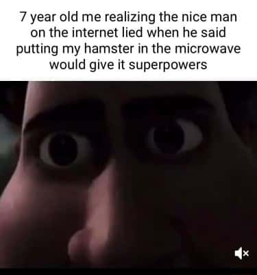 Tighten staring meme realizing hamster no superpowers after microwave Tighten staring meme realizing hamster no superpowers after microwave