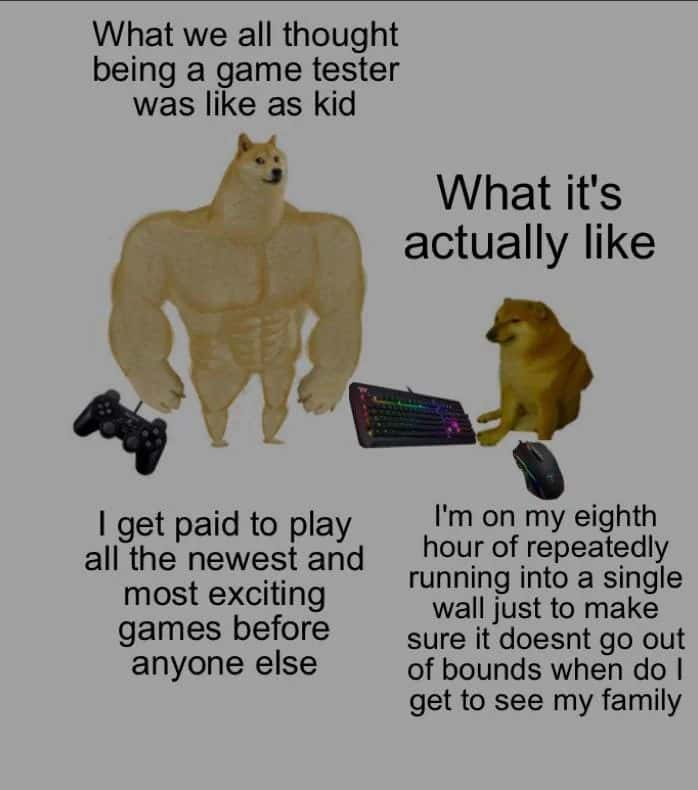 Game tester meme shows kid dream vs real work