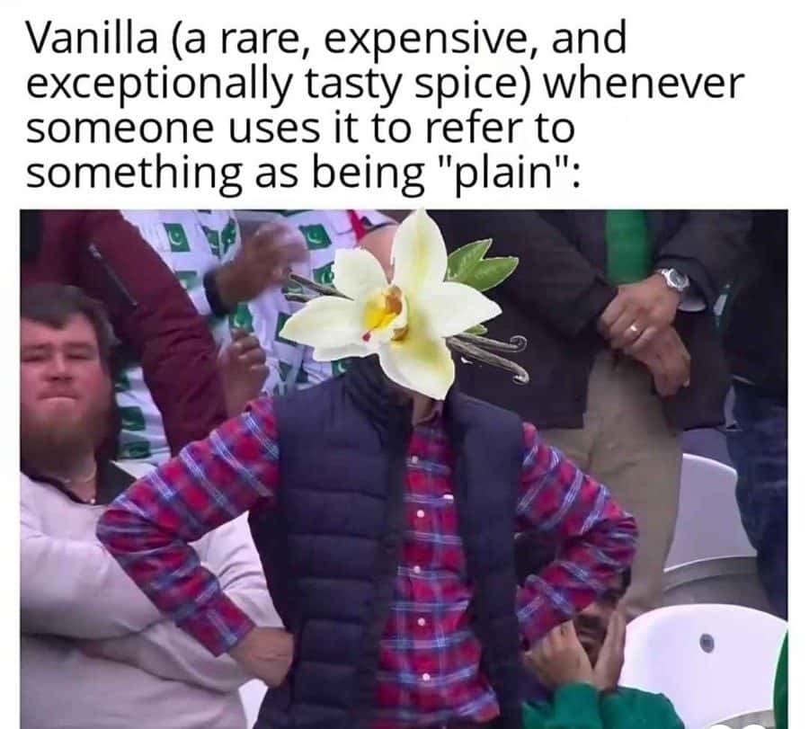 Vanilla meme mad when called plain