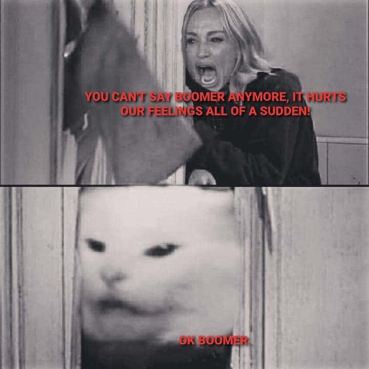 Woman yells are shining meme cat replying ok boomer retort