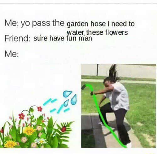 Garden hose meme having fun watering flowers