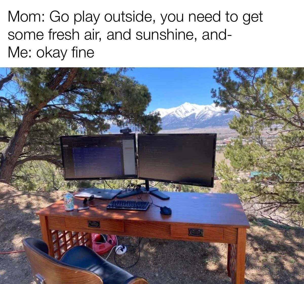Home office meme moved entire workstation outside to get fresh air and sunshine