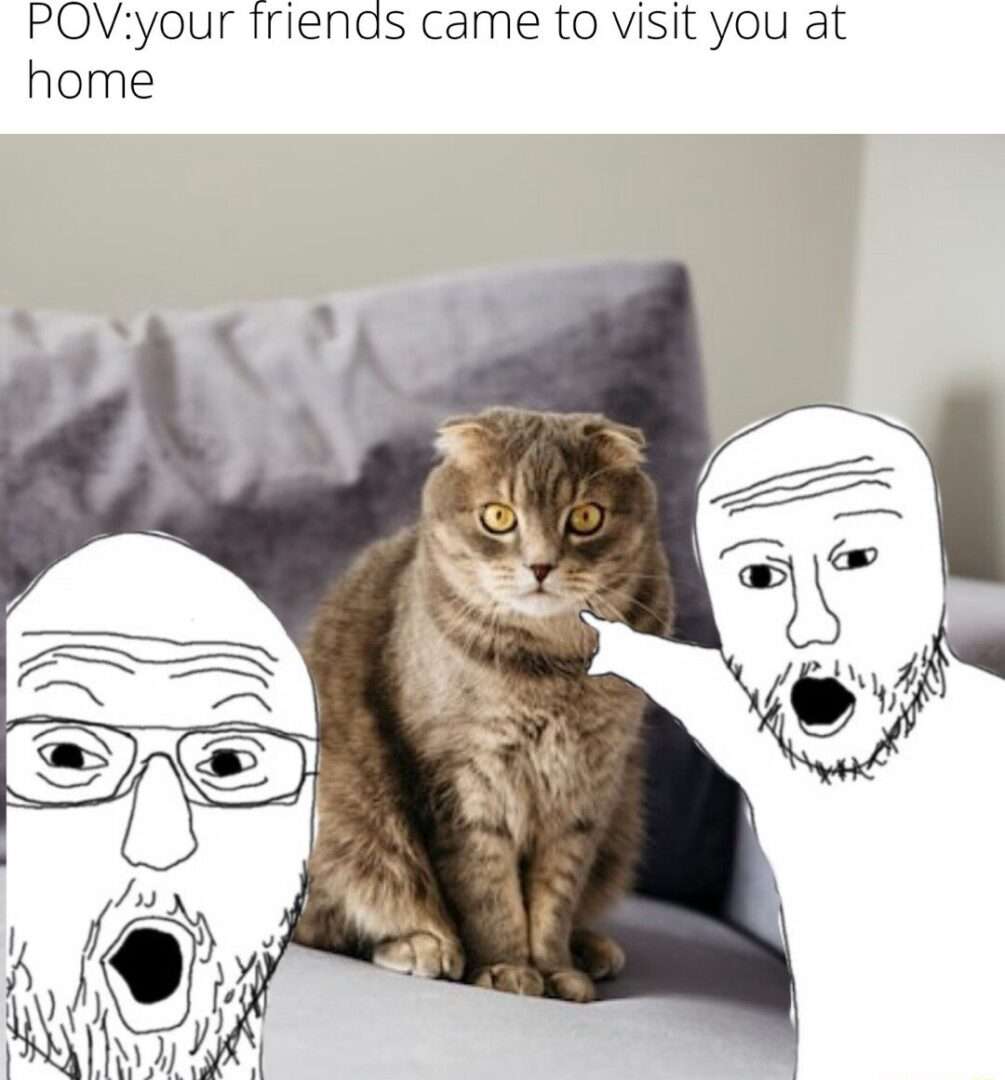 Wojak pointing at cat meme watched by friends at home
