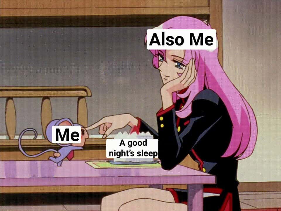 Revolutionary girl utena meme good sleep silly