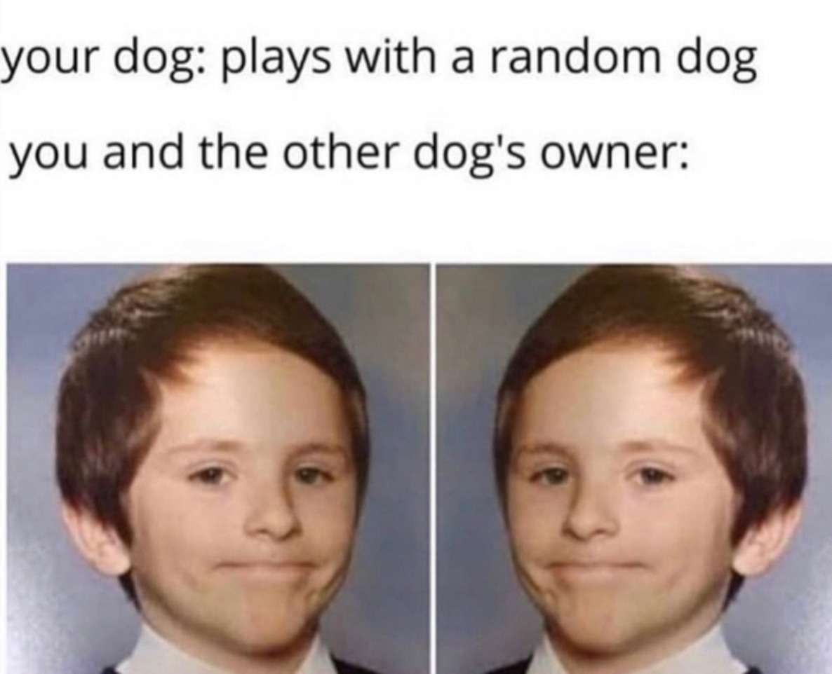 Awkward white people smile meme awkwardly stand when dogs play