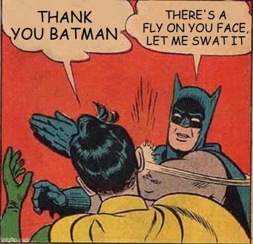 Batman slapping robin meme pretending to swat fly