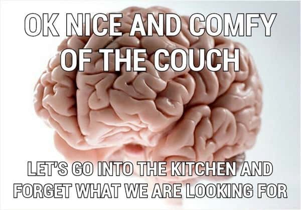 Brain meme couch trip kitchen memory lapse