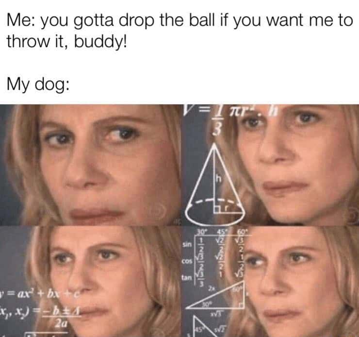 Confused math lady meme confused about fetch ball rules