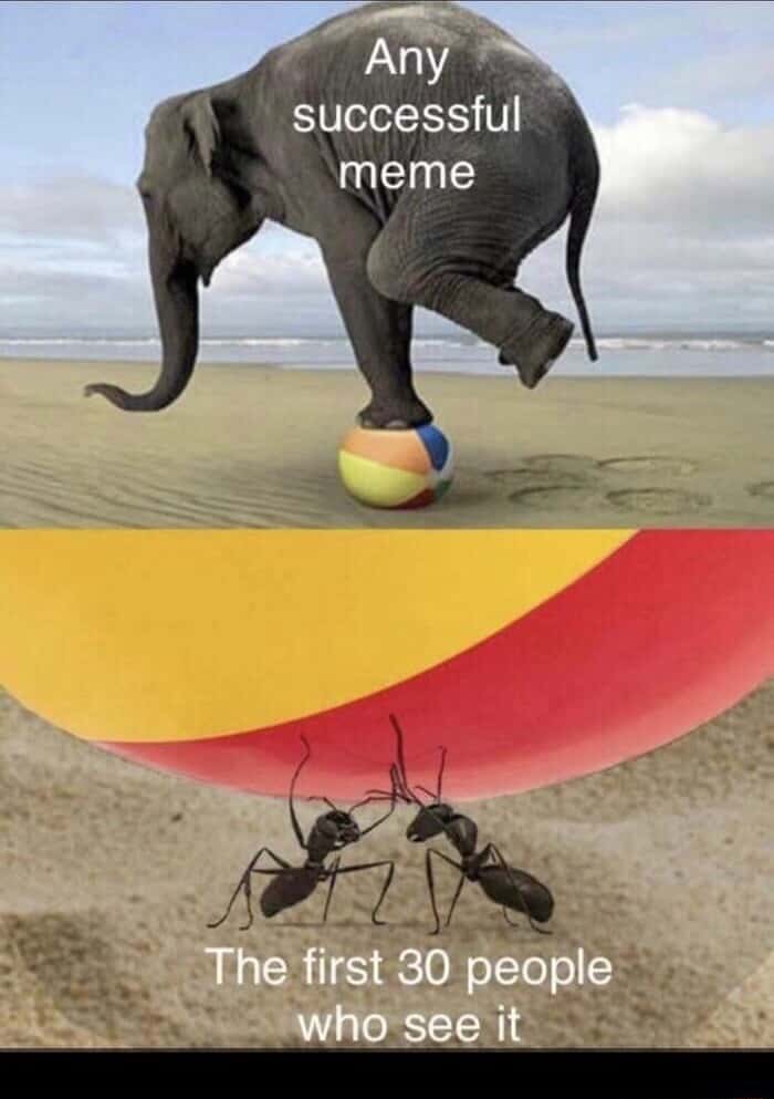Elephant held up by ants meme early viewers fuel meme popularity