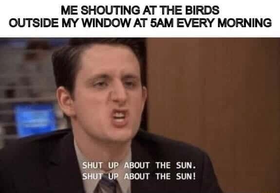 Gabe lewis meme yelling at early morning noisy birds