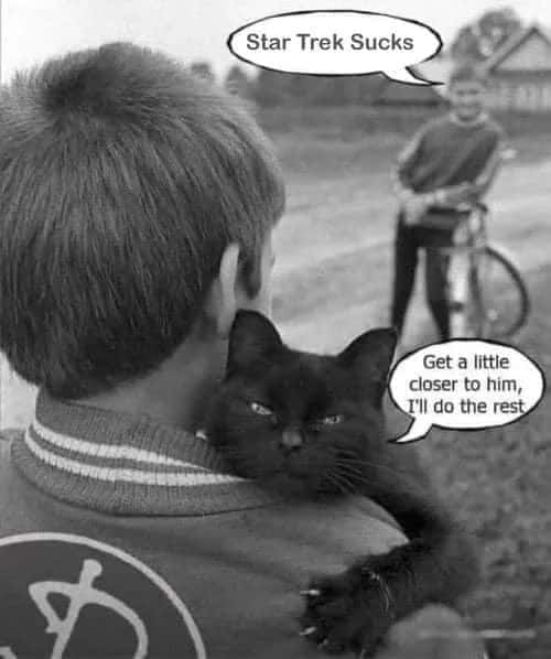 Sneaky cat meme hunting star trek hater