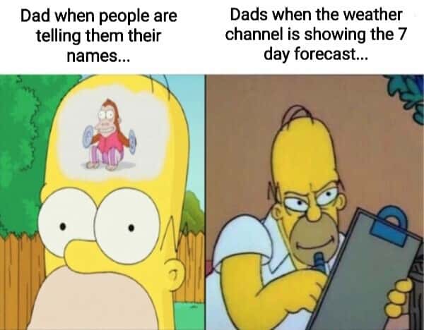 Homer monkey meme dads’ different focus scenarios