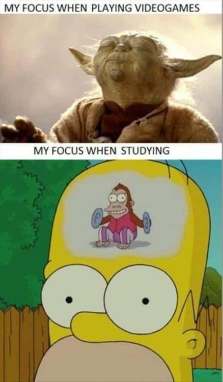 Homer monkey meme gaming vs studying focus gap