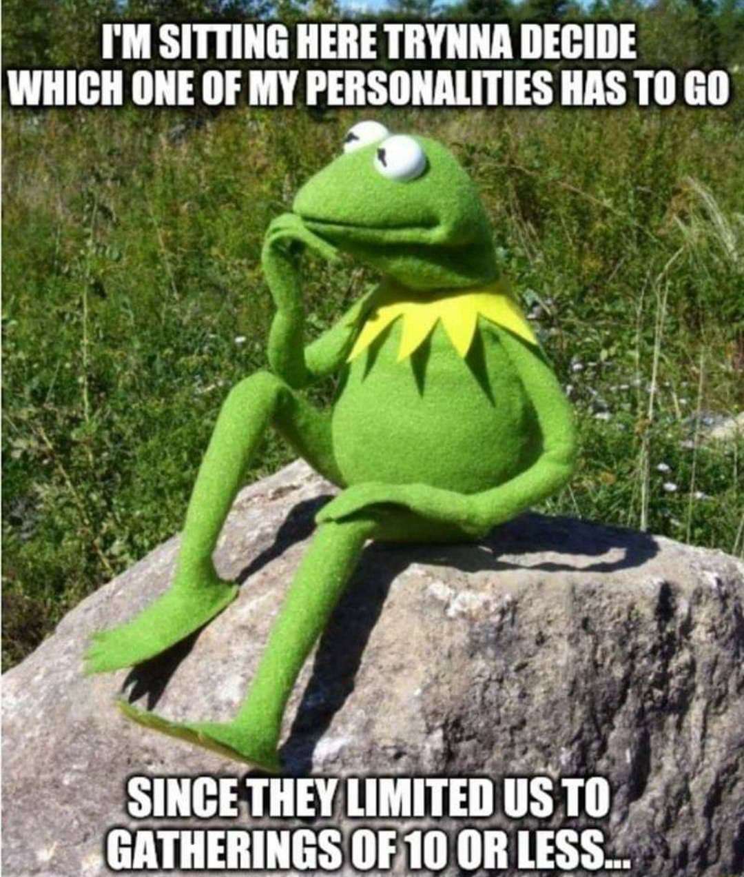 Kermit thinking meme deciding which personality to cut for 10 limit