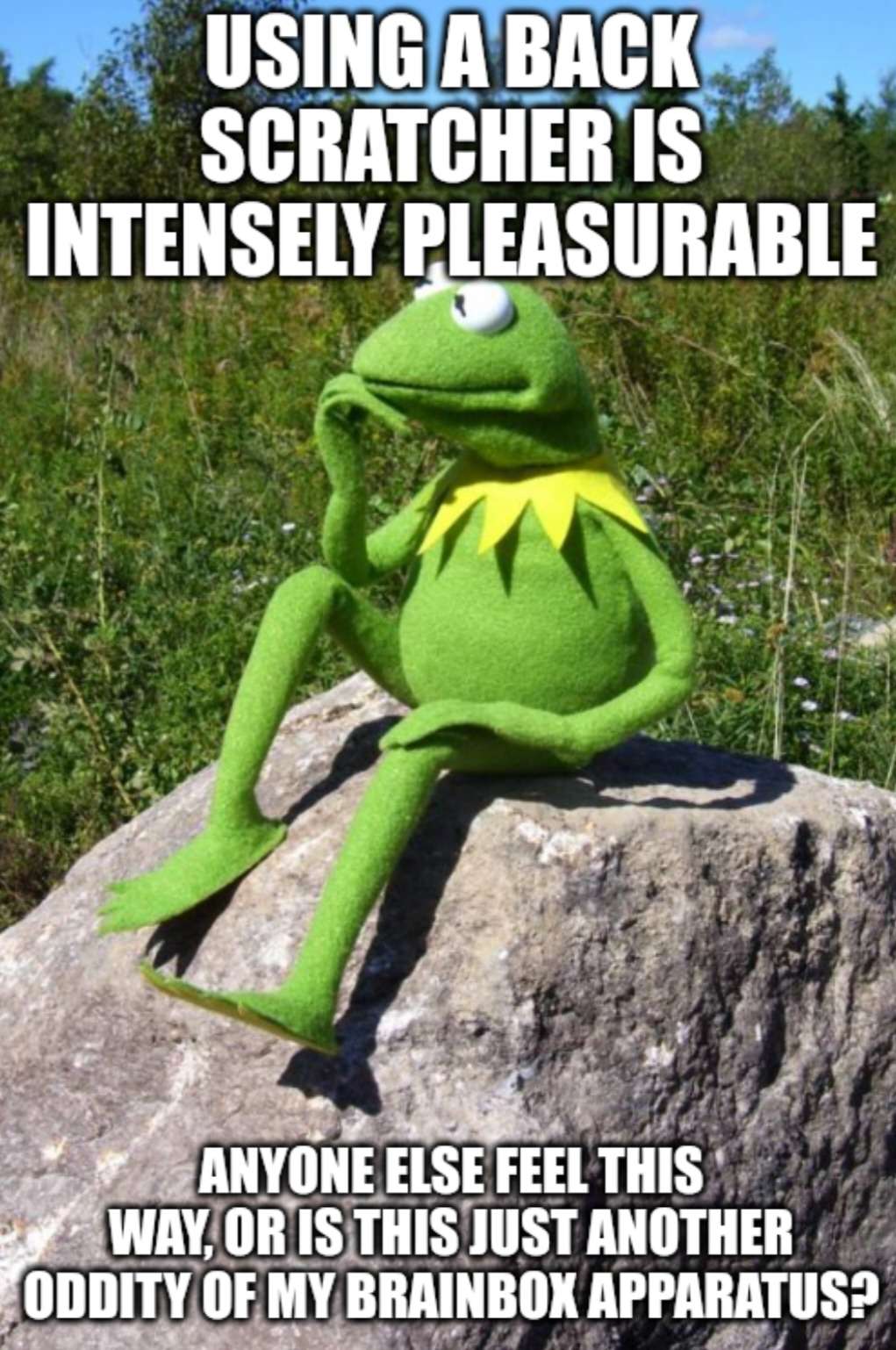 Kermit thinking meme enjoys intense back scratcher pleasure