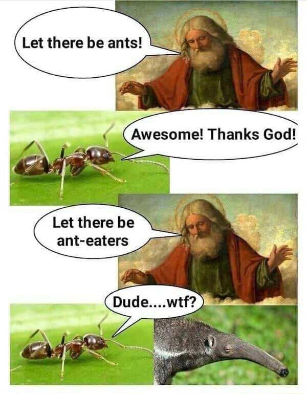 Let there be ants meme ants shocked at the creation of anteaters