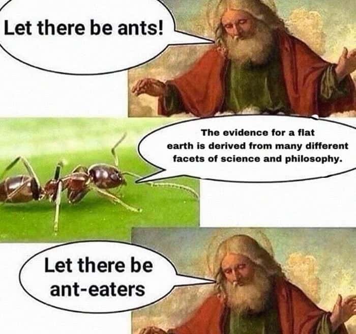 Let there be ants meme god punishes ants for flat earth claims
