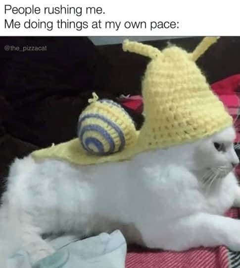 Snail cat meme taking own pace while people rush me
