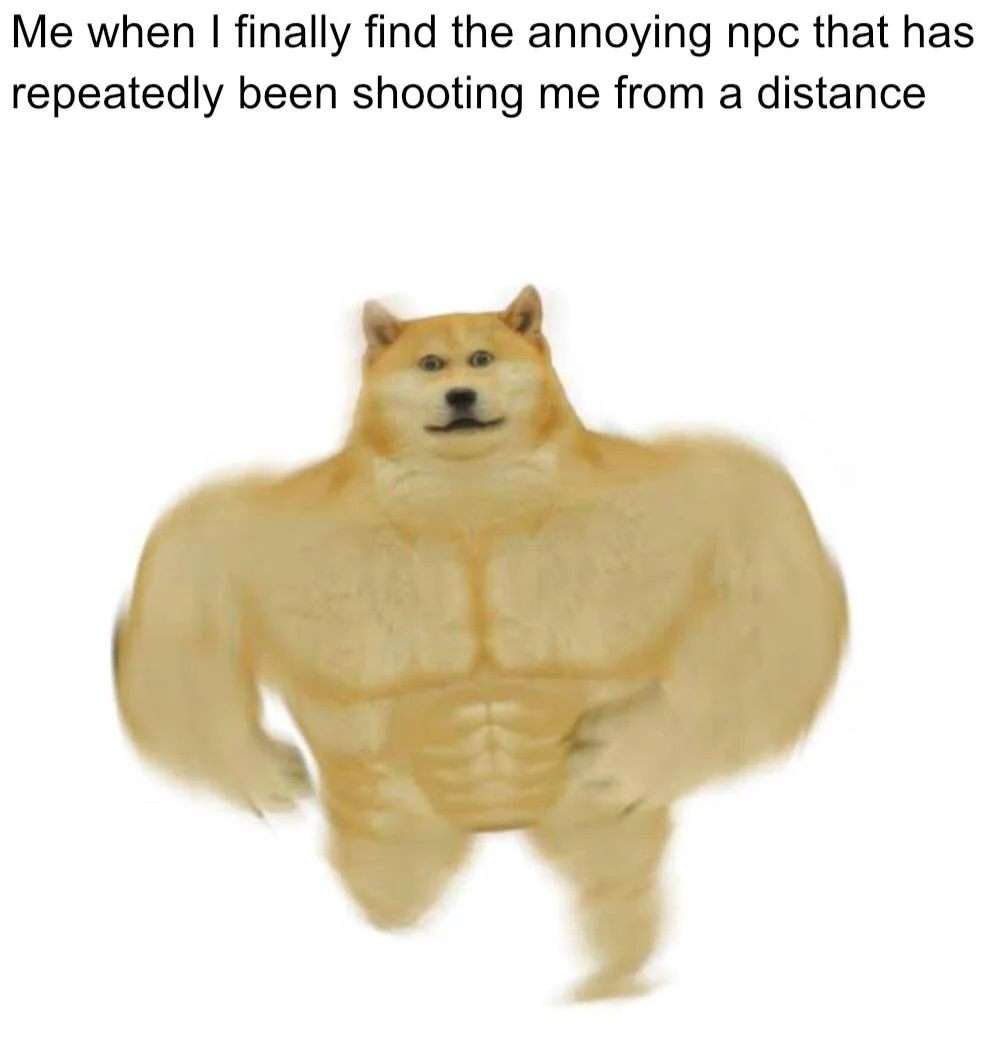 Buff doge meme confronting annoying npc that shot me from distance