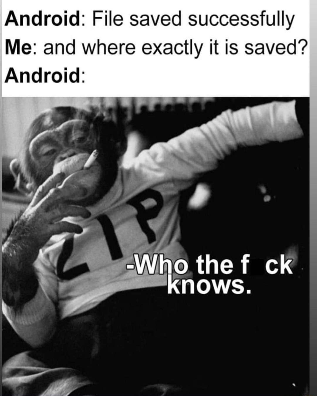 Monkey smoke meme android unclear file storage spot