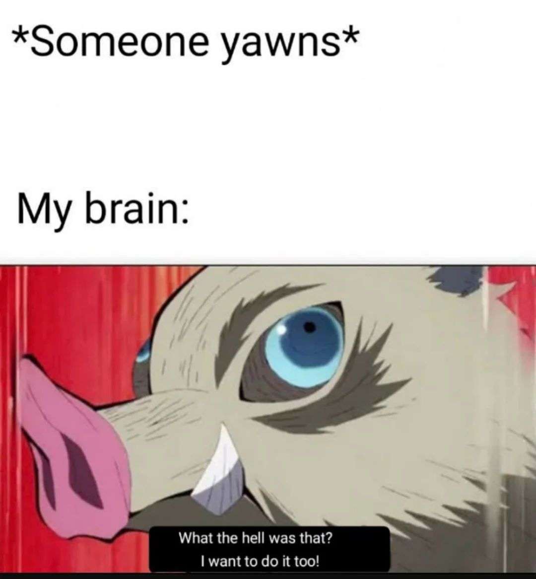 Demon slayer meme instantly wants to copy the yawn he just saw