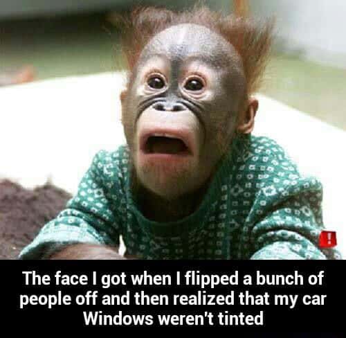 Oh shit monkey meme panic after untinted window road rage