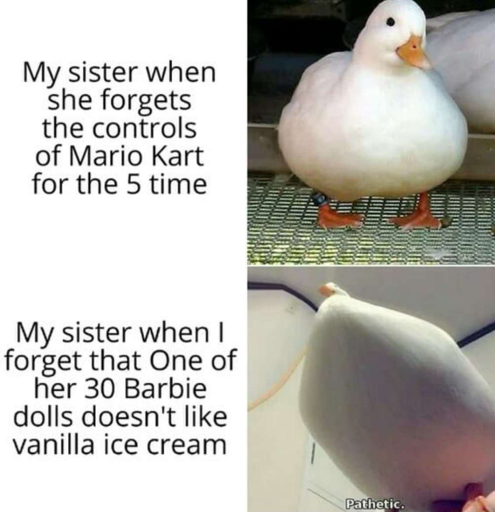 Pathetic duck meme sibling double standard reaction