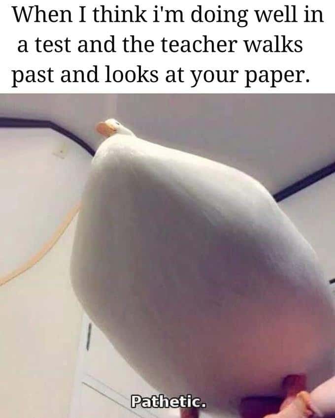 Pathetic duck meme teacher inspects exam sheet