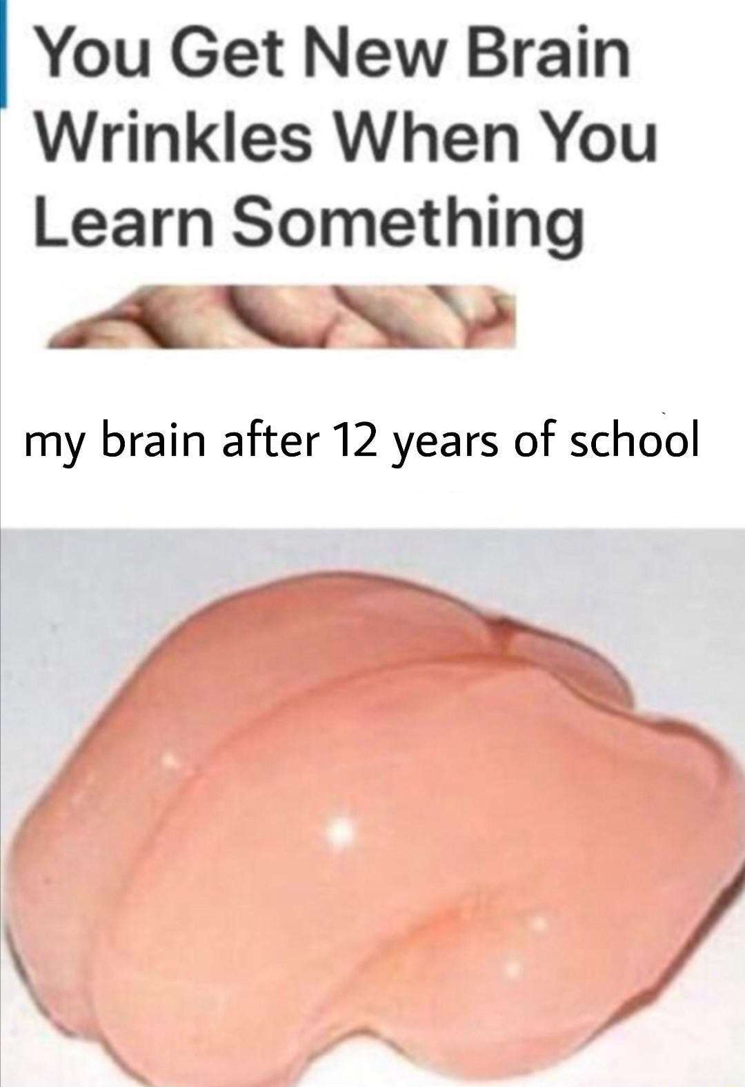 Smooth brain meme schooling leaves zero brain folds