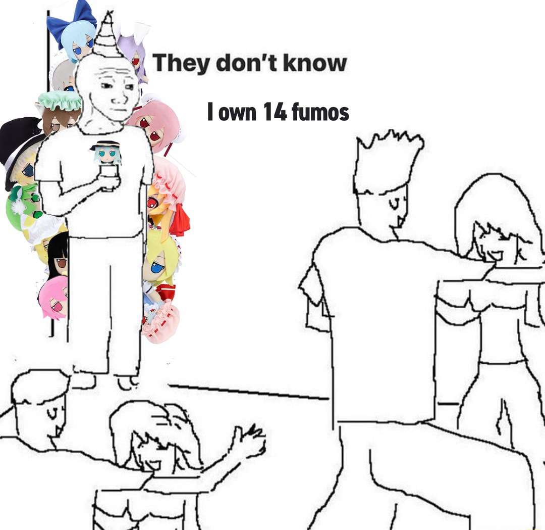 They don't know meme owns 14 fumos They don't know meme owns 14 fumos