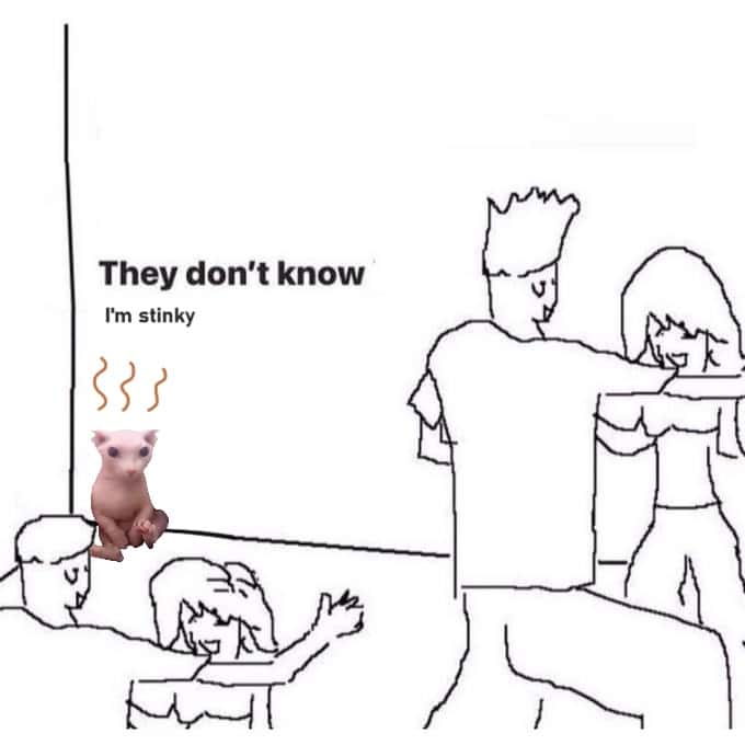 They don't know meme hiding stinky at party They don't know meme hiding stinky at party