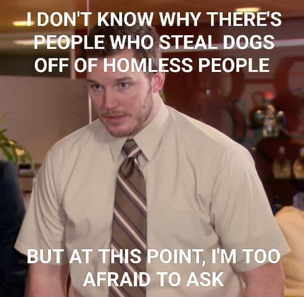 Too afraid to ask meme confused about people stealing homeless dogs