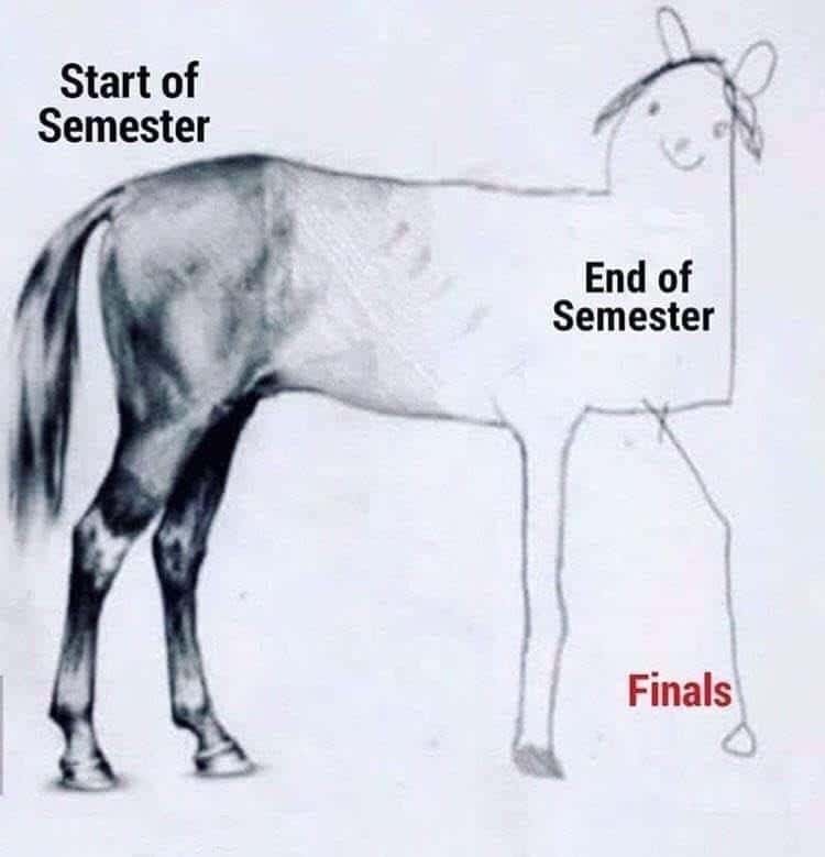 Unfinished horse drawing meme half done for semester finals Unfinished horse drawing meme half done for semester finals