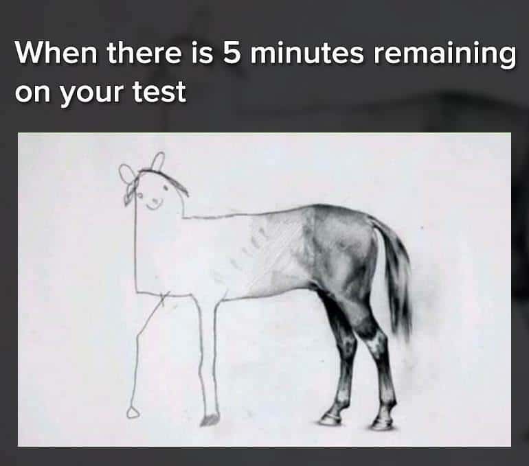 Unfinished horse drawing meme rushed when test has 5 mins left Unfinished horse drawing meme rushed when test has 5 mins left