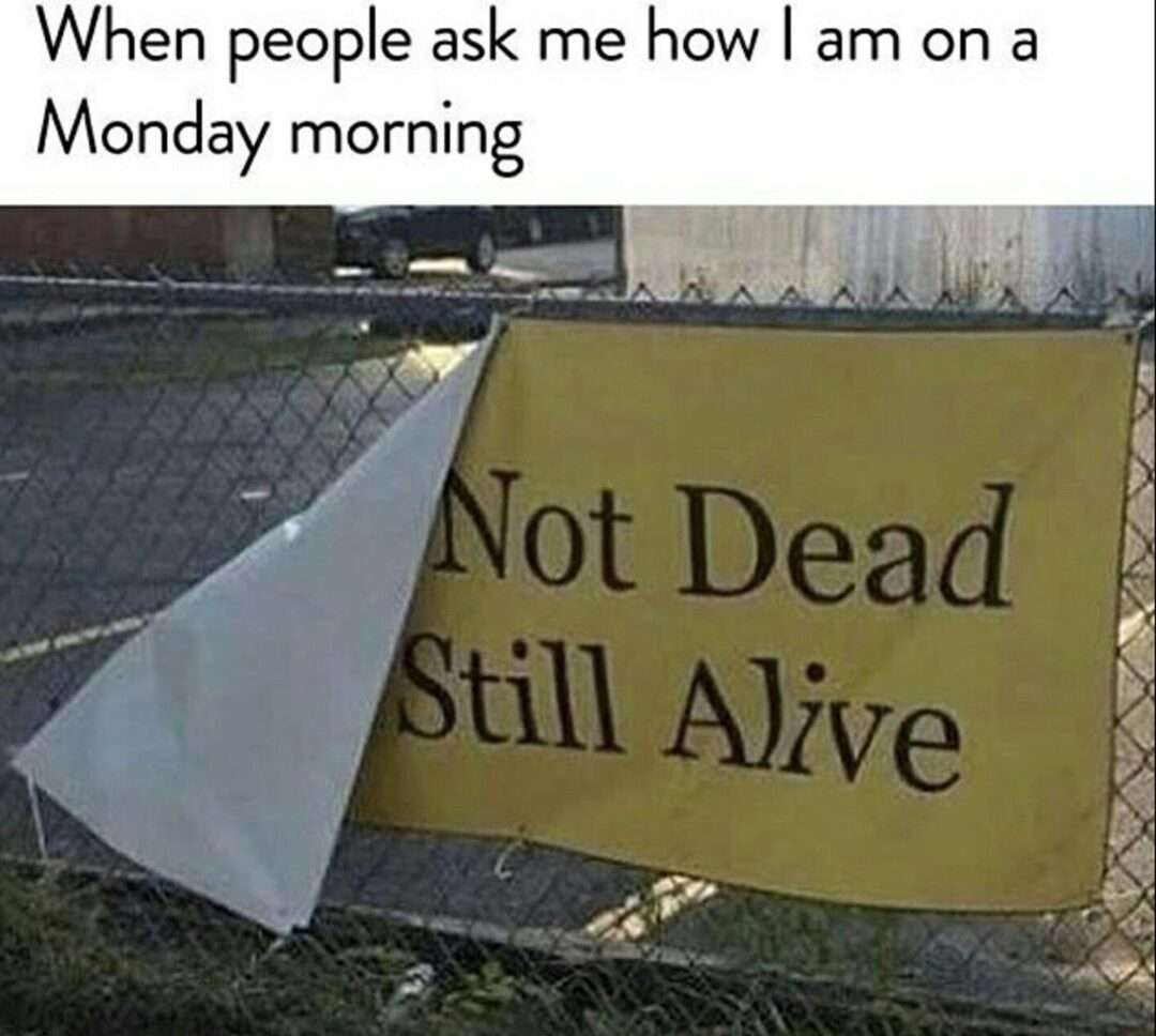 Not dead still alive meme for tired monday morning
