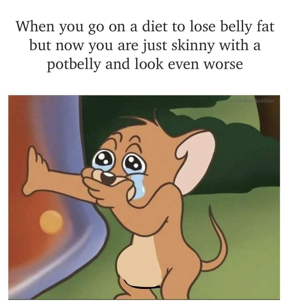 Jerry meme crying after bad belly fat diet