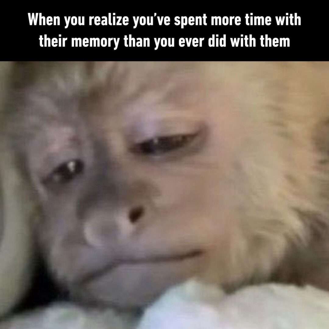 Sad monkey meme realizing you spent more time with their memory