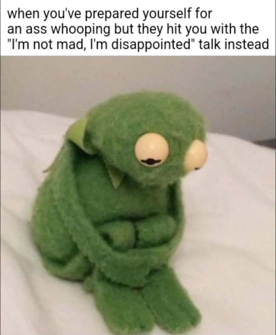 Kermit meme getting the "i'm not mad, i'm disappointed" talk