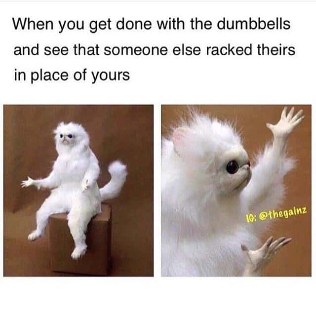 White monkey meme annoyance at displaced gym dumbbells