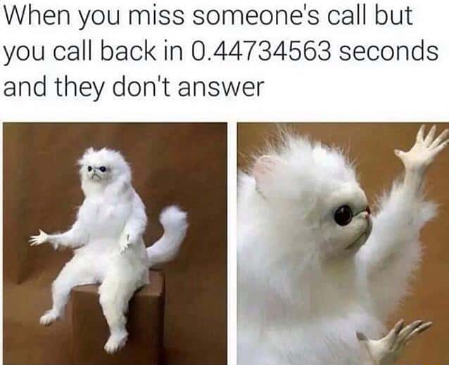 White monkey meme frustration over ignored callback