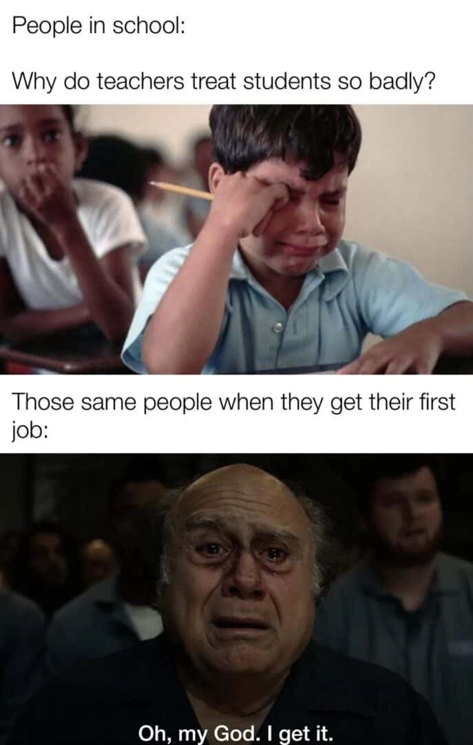 Students blaming teachers meme get it after first job
