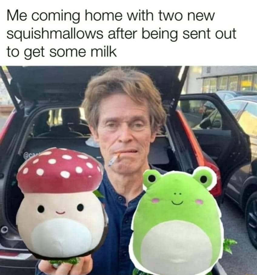 Willem dafoe holding oranges meme unplanned squishmallow shopping haul