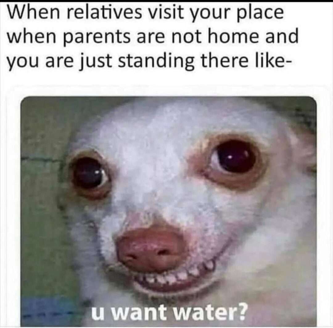 Awkward dog meme offering water when relatives visit