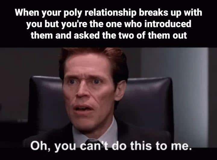 You can't do this to me meme dumped by poly couple