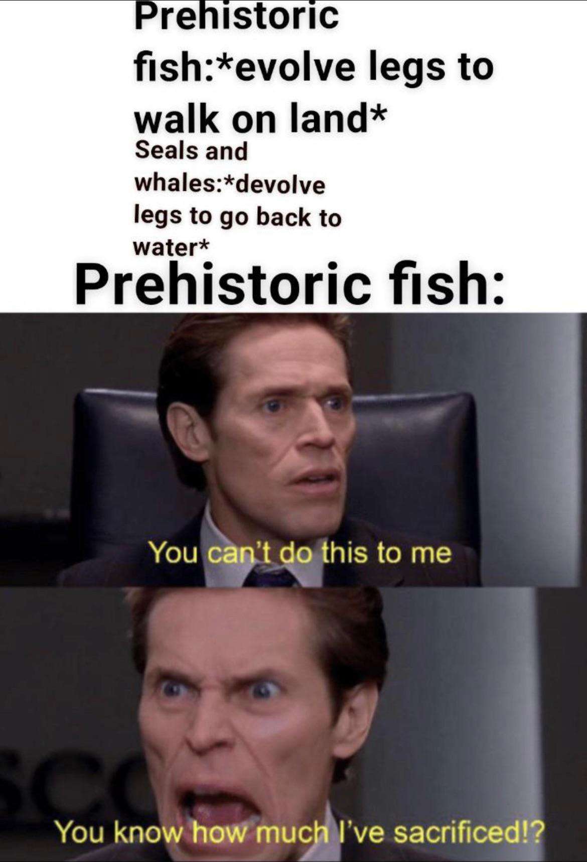 You can't do this to me meme fish mad at reverse evolution