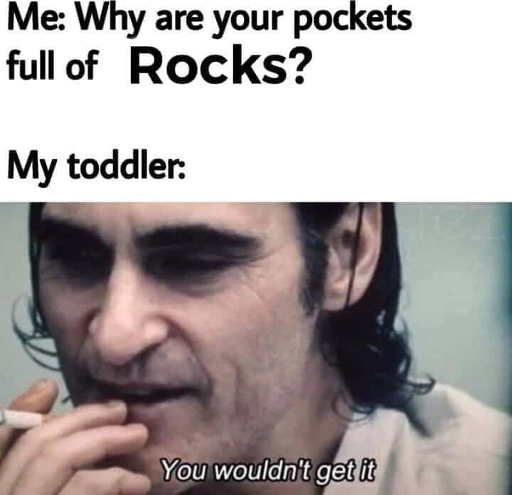 You wouldn't get it meme toddler hides rocks