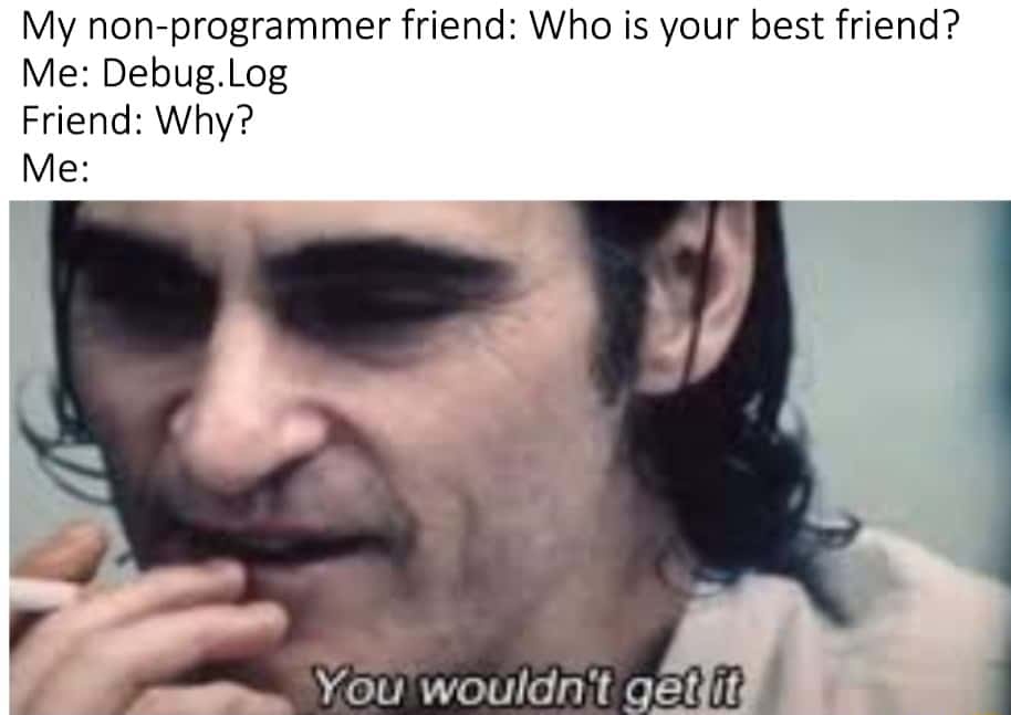 You wouldn't get it meme dev names debug.log best friend