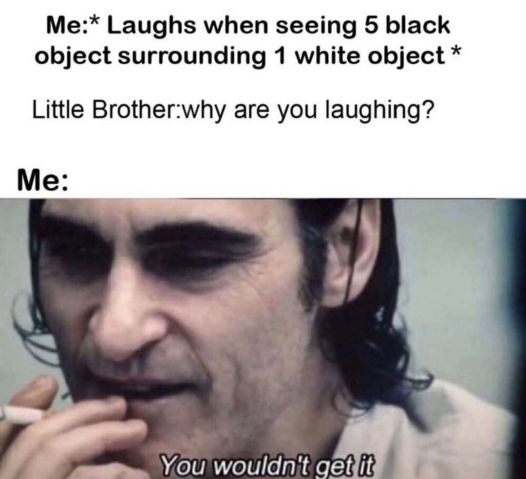 You wouldn't get it meme hides dirty joke from little brother
