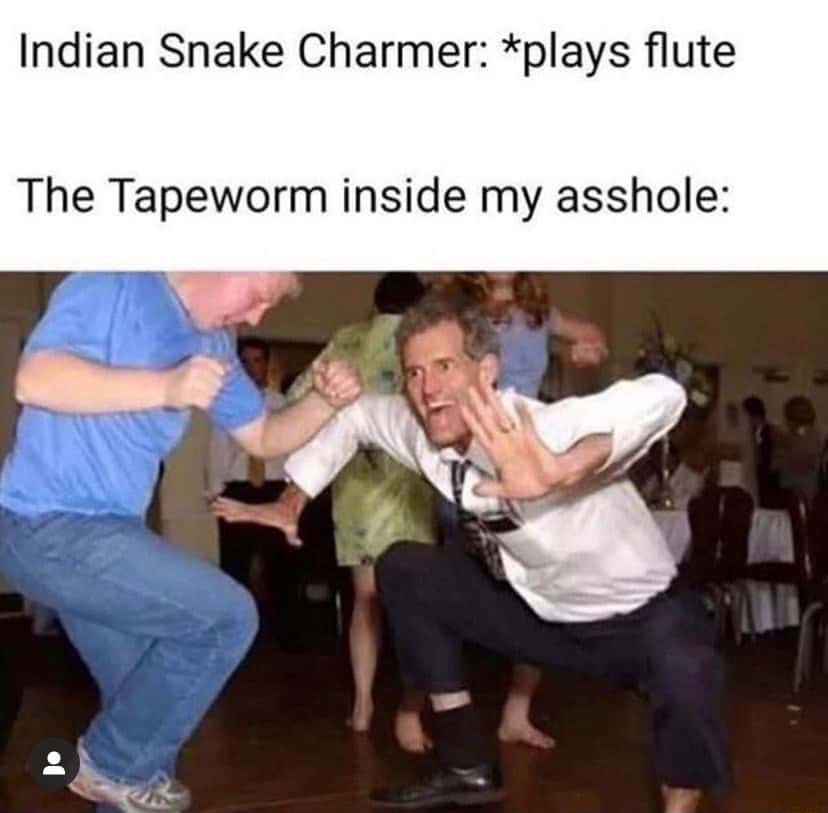 The jig meme dances wildly when snake charmer plays flute